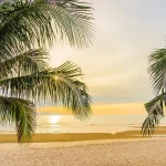 Off Season in Puerto Vallarta: The Perfect Time for Your Family at Crown Paradise Vallarta