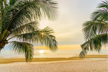 Off Season in Puerto Vallarta: The Perfect Time for Your Family at Crown Paradise Vallarta