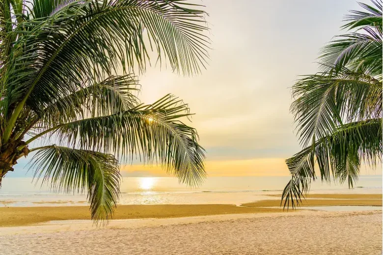 Off Season in Puerto Vallarta: The Perfect Time for Your Family at Crown Paradise Vallarta
